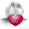seals3026